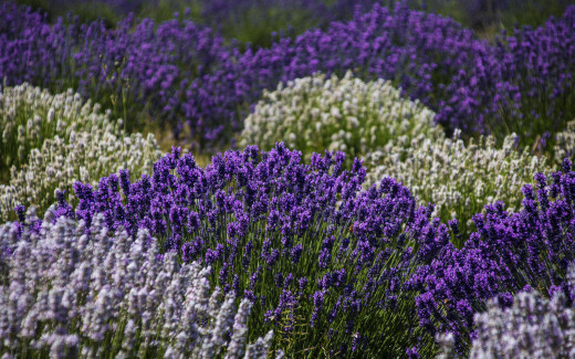 1742800 (a): :2560x1600